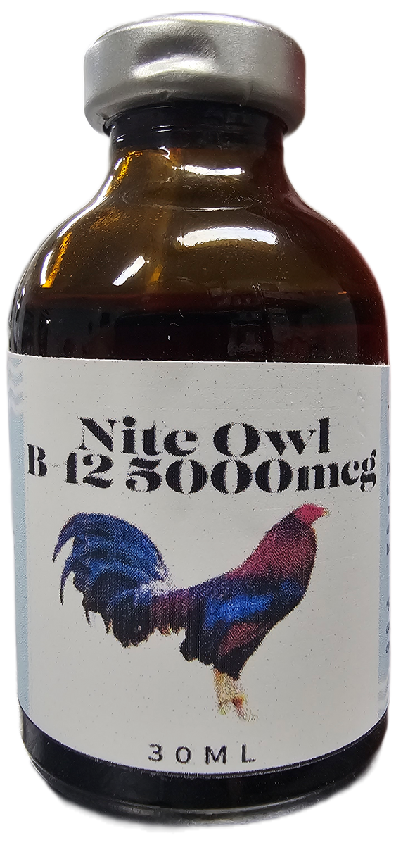 complejo b12 injection Neurobion B12 Forte 10 Vials, 10 ml Liquid Vitamin Complex for  Deficiencies, Metabolism, Immune Support