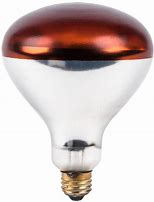 Brooder Bulb 250 Watt – wood enterprises